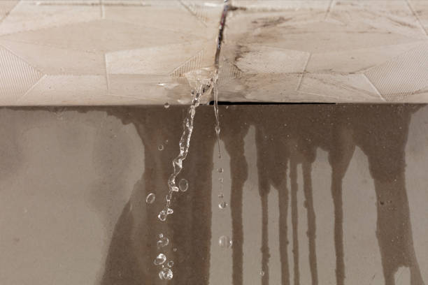 Professional Sewage Cleanup technician working in La Veta, CO